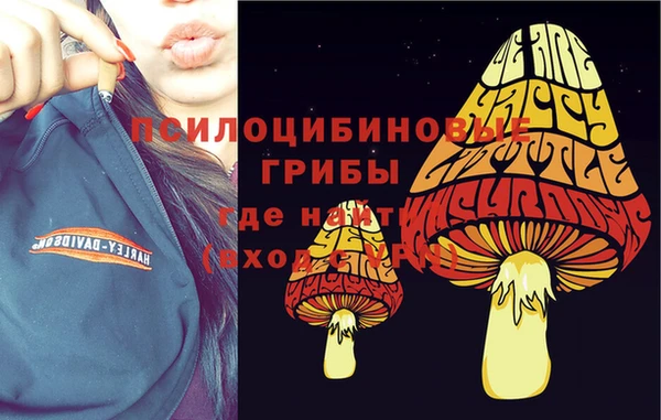 jwh Верея
